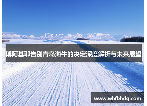 博阿基耶告别青岛海牛的决定深度解析与未来展望