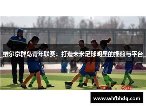 维尔京群岛青年联赛：打造未来足球明星的摇篮与平台