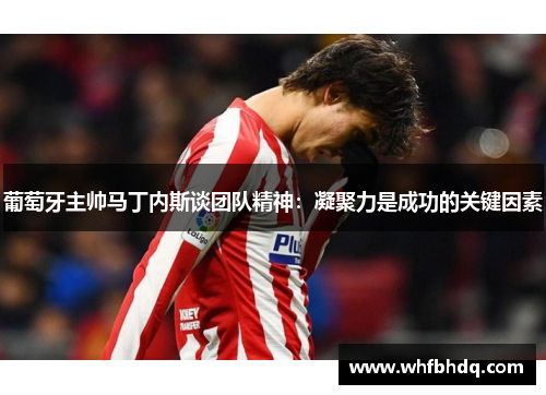 葡萄牙主帅马丁内斯谈团队精神：凝聚力是成功的关键因素