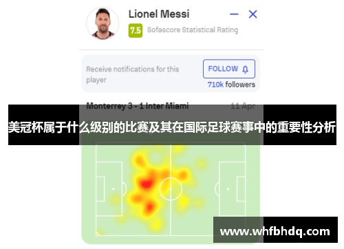 美冠杯属于什么级别的比赛及其在国际足球赛事中的重要性分析